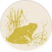 Naturally Curious Frog Round Sticker
