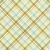 Naturally Curious Plaid Paper 06