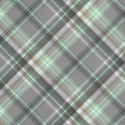 Naturally Curious Plaid Paper 07