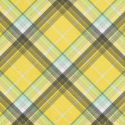 Naturally Curious Plaid Paper 08