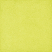 Mulberry Bush Green Solid Paper