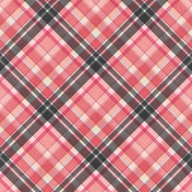 True Friend Plaid Paper 2