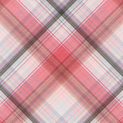 True Friend Plaid Paper 10