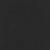 Backyard Summer Solid Paper Black