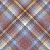 Chicory Lane Plaid Paper 11