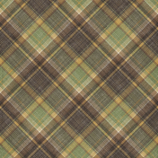 Chicory Lane Plaid Paper 13