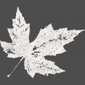 Maple Grove Element Stamp White Leaf