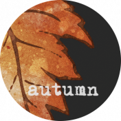 An Autumn To Behold Autumn Flair Alternate