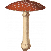 An Autumn To Behold Mushroom