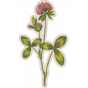 A Spring To Behold Element Sticker Clover