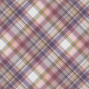 A Spring To Behold Plaid Paper