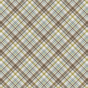 A Spring To Behold Plaid Paper 03