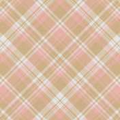 A Spring To Behold Plaid Paper 04