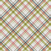 A Spring To Behold Plaid Paper 07