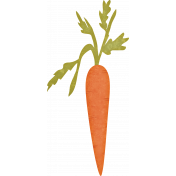 Homestead Life: Spring Carrot 2