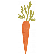 Homestead Life: Spring Carrot 3