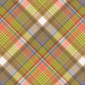 Green Acres Plaid Paper 08