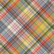 Green Acres Plaid Paper 10