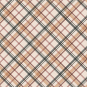 Wild Horses Plaid Paper 11