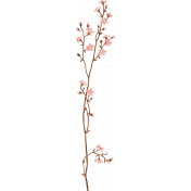 Wild Horses Pink Floral Branch