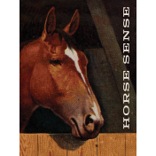 Wild Horses Journal Card Horse Sense 3x4 