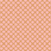 Wild Horses Paper Pink Plaid Simple