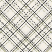 Staycation plaid Paper 08