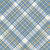 Staycation plaid Paper 11