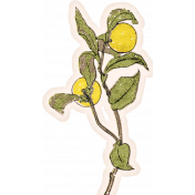 Homestead Life: Summer Lemon Sticker