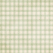 Summer Tea Green Gingham Paper