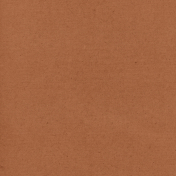 Plum Hill Solid Paper 01 Brown