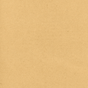 Plum Hill Solid Paper 03 Beige