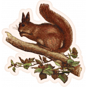 Homestead Life: Autumn Squirrel Sticker