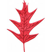 Cranberry Red Wood Leaf 2