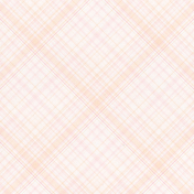 Baby Dear Plaid Paper 09