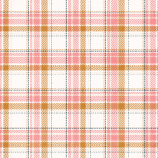 Extra Paper Large Plaid 02