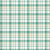 Extra Paper Large Plaid 03