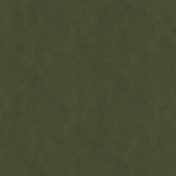 Lovely Garden Dark Green Solid Paper