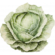 Lovely Garden Stickers: Cabbage 