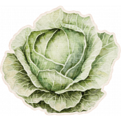 Lovely Garden Stickers: Cabbage with Border