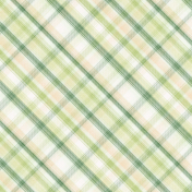 Spring Fresh Plaid Paper 01