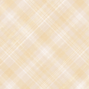 Buttermilk Plaid Paper 11