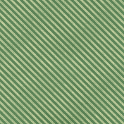 Spring Fresh- Autumn Fresh Add-On Paper Striped