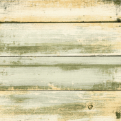 Spring Fresh Paper Cream And Green Wood 