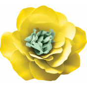Afternoon Daffodil Element flower yellow
