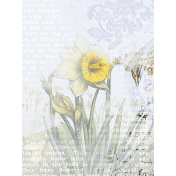 Afternoon Daffodil Journal Card artsy 3x4