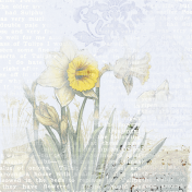 Afternoon Daffodil Journal Card artsy 4x4