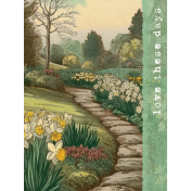 Afternoon Daffodil Journal Card garden 3x4