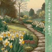Afternoon Daffodil Journal Card garden 4x4