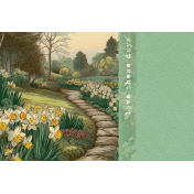 Afternoon Daffodil Journal Card garden 4x6